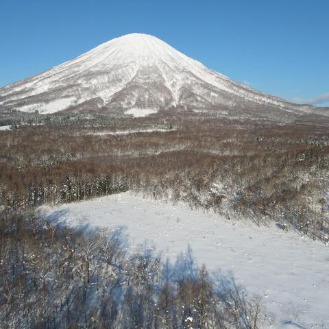 Makkari #3
